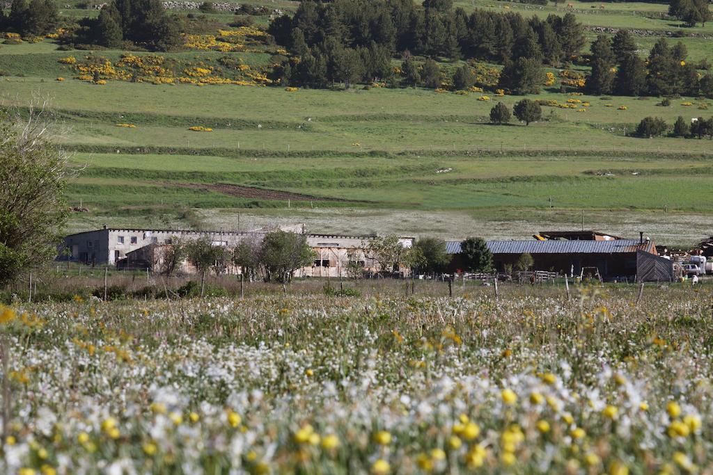 Gite Equisud - Demi-Pension Inclus Les Angles  Exterior foto